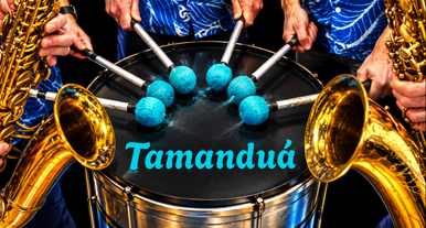 Banda Tamanduá